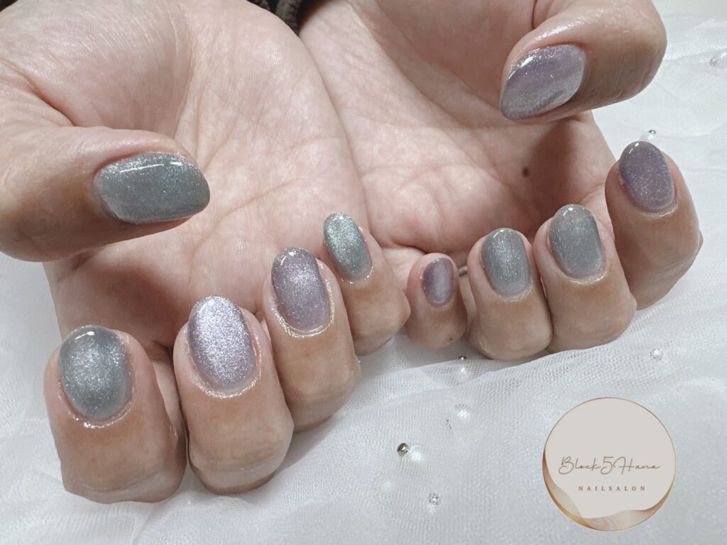 Nail No.2606【冬カラーのマグネットネイル】